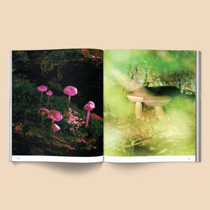 Spores: Magical Mushroom Photography Book