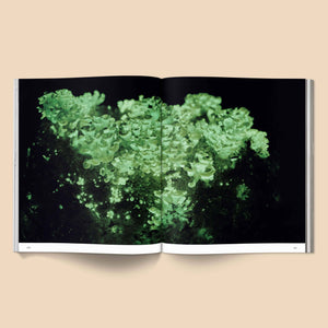 Spores: Magical Mushroom Photography Book