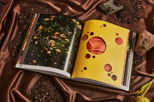 Spores: Magical Mushroom Photography Book