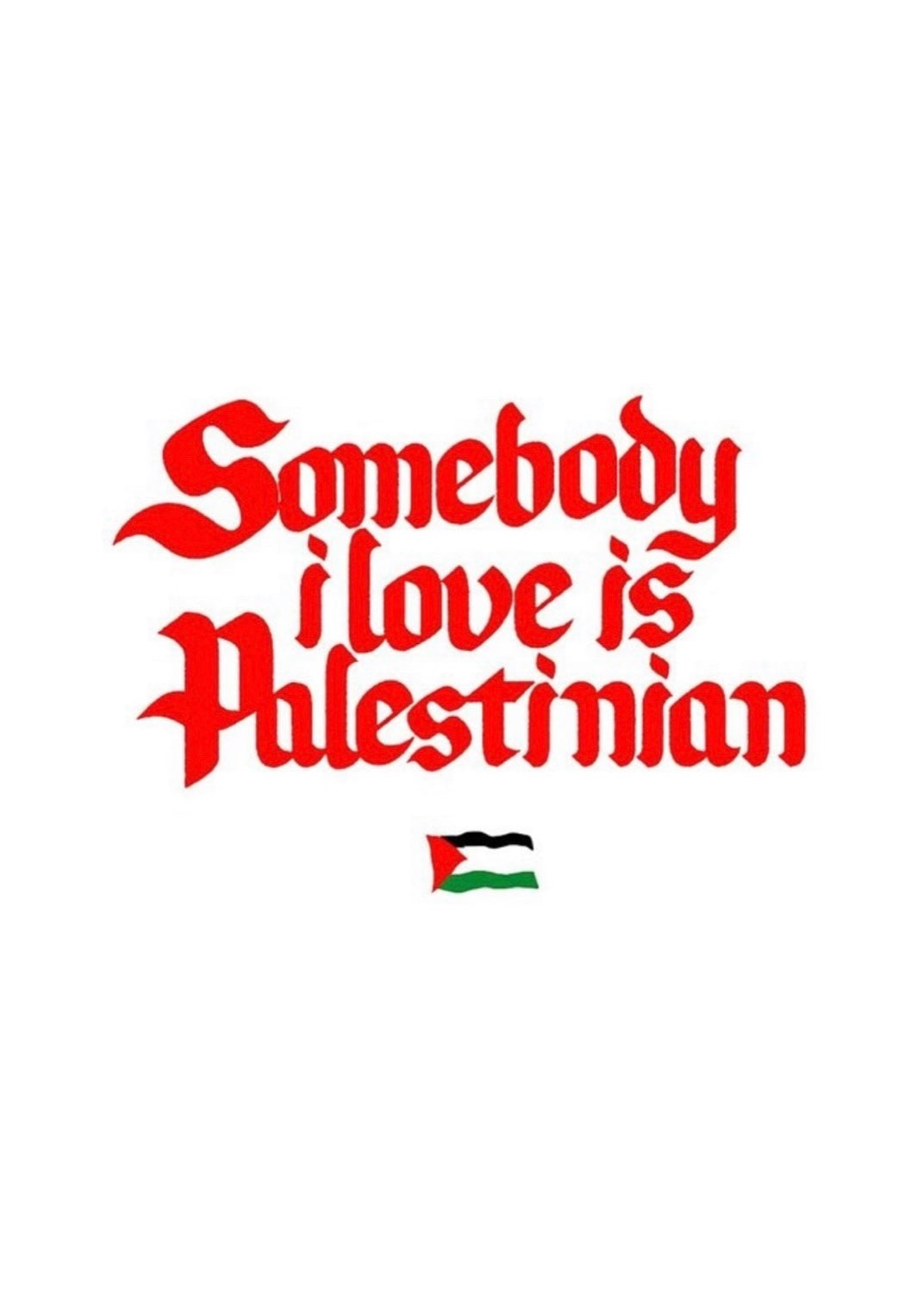 SOMEBODY I LOVE IS PALESTINIAN TEE