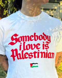 SOMEBODY I LOVE IS PALESTINIAN TEE