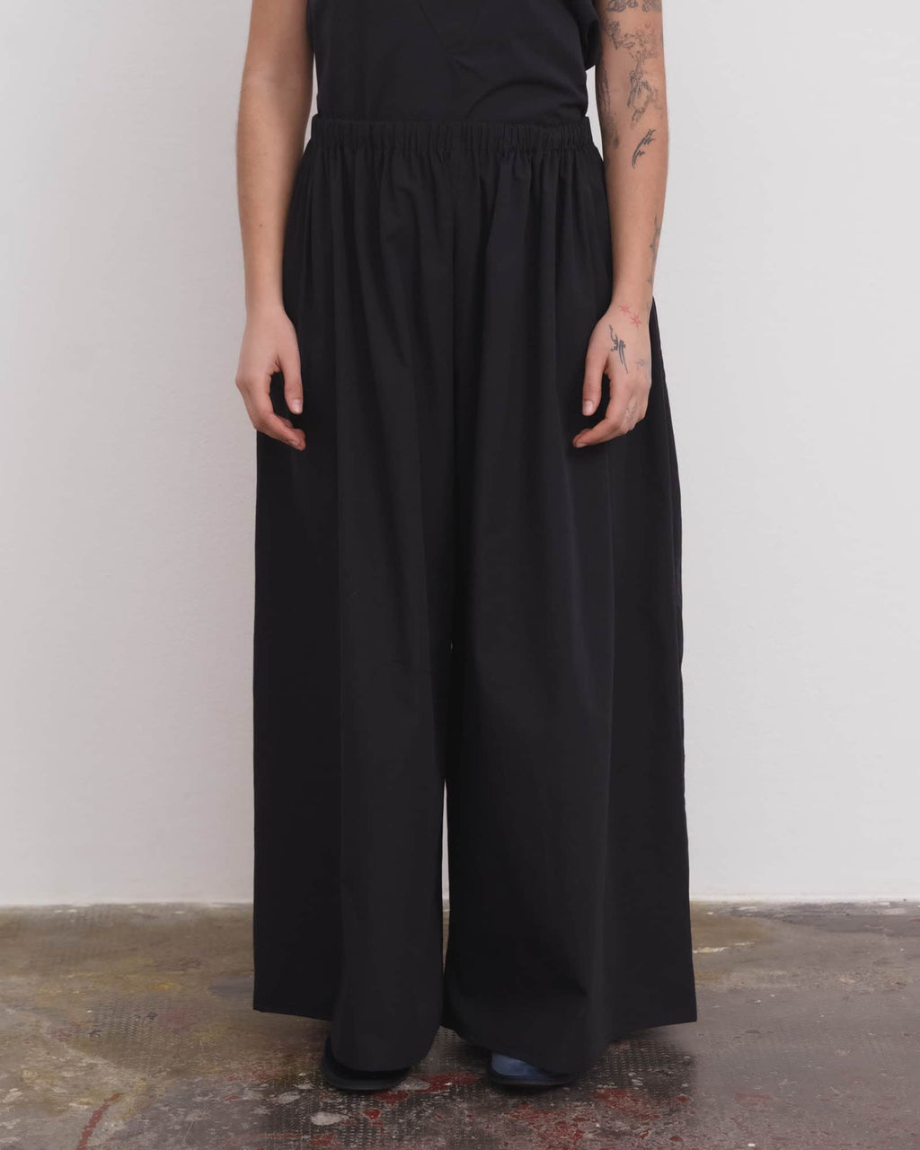 NEW ARRIVALS – MONTY